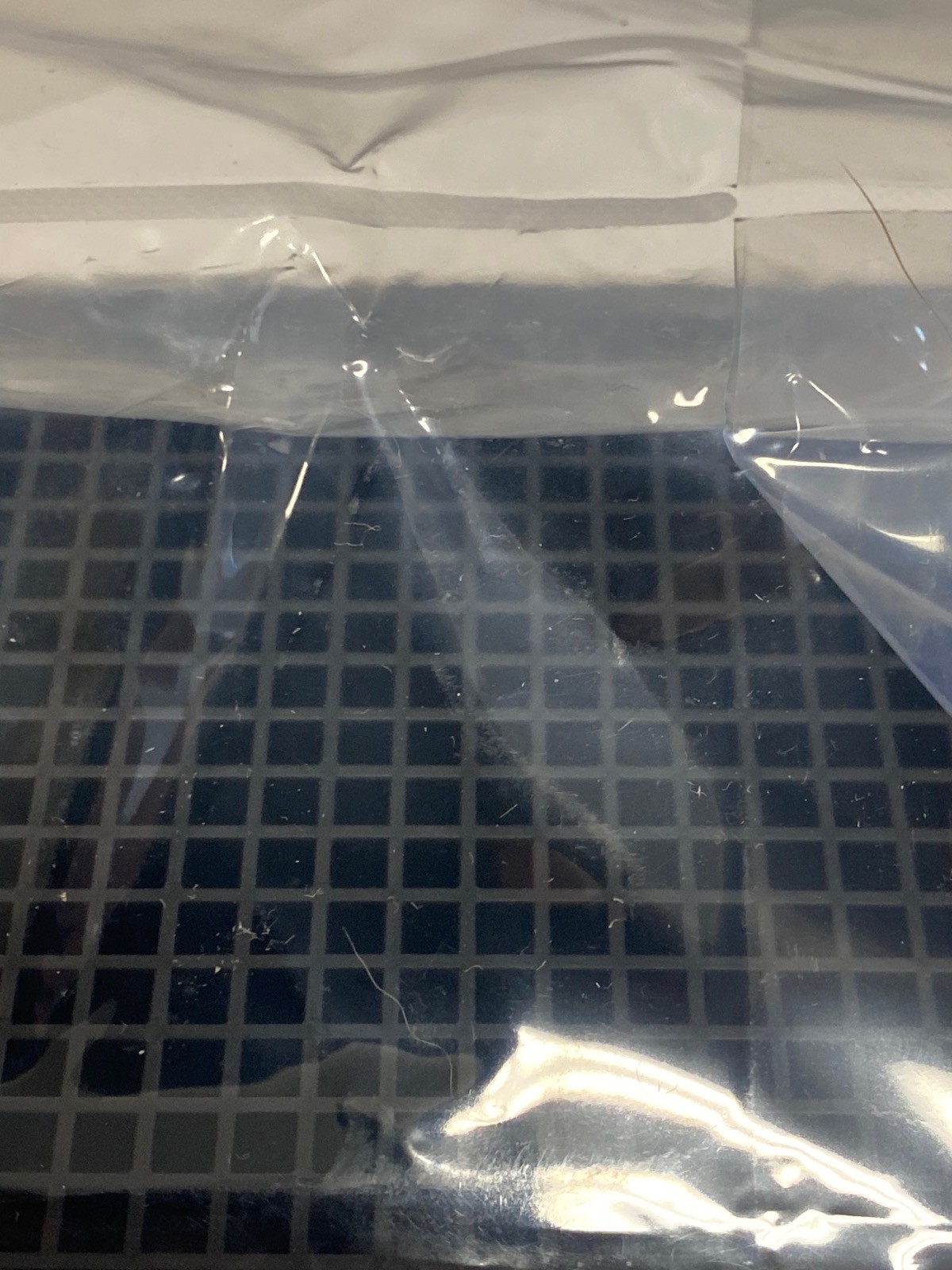 (80) SARTORIUS Octet 384-Well PP Black Tilted-Bottom Microplates TW384 18-5076