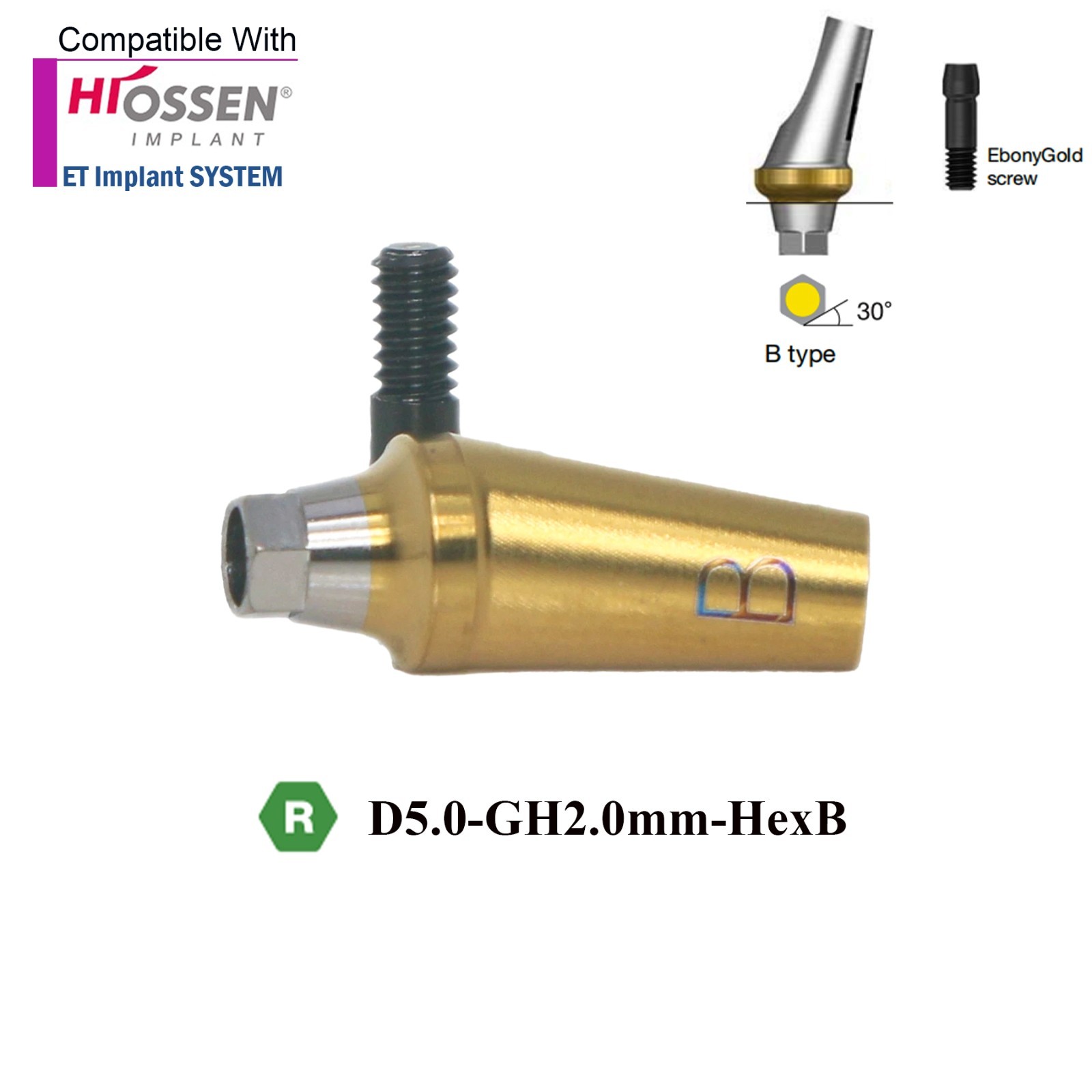 Angulated Anatomic abutment 30°Mini/Regular B Type for Hiossen Osstem TS Implant