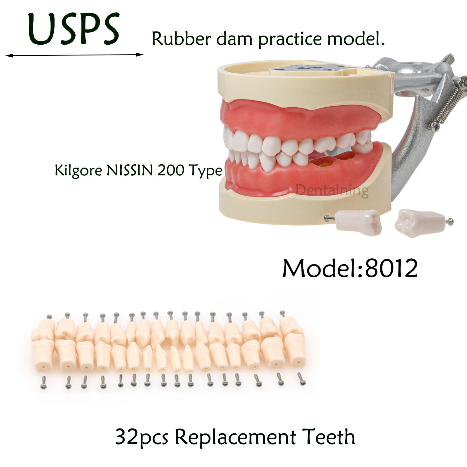 US Overdenture All-On-4/6 Implant /Ortho/Columbia 860/Kilgore NISSIN Teeth Model