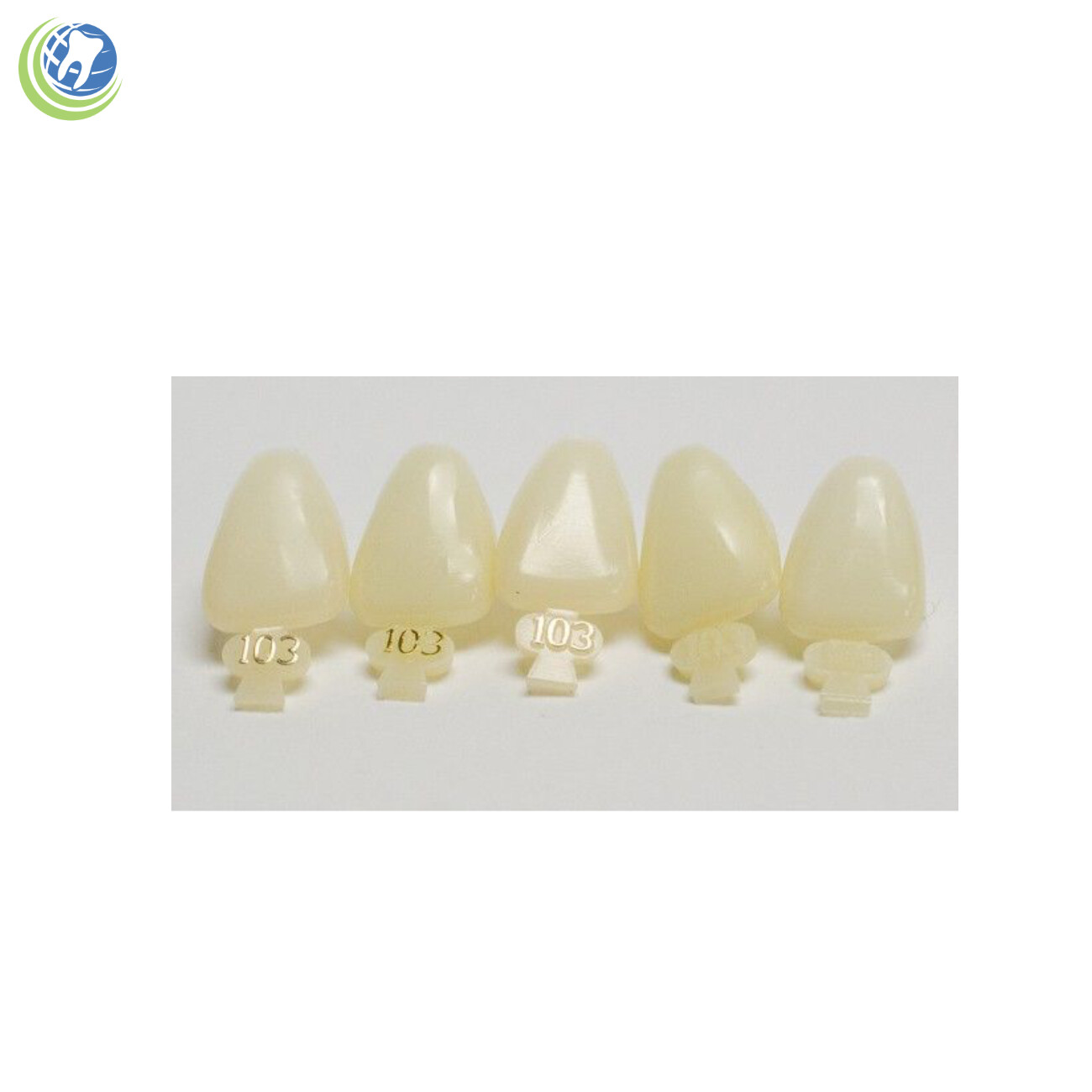 Tooth #9 Upper Left Central Anterior (ULC) Polycarbonate Temporary Crown Refills