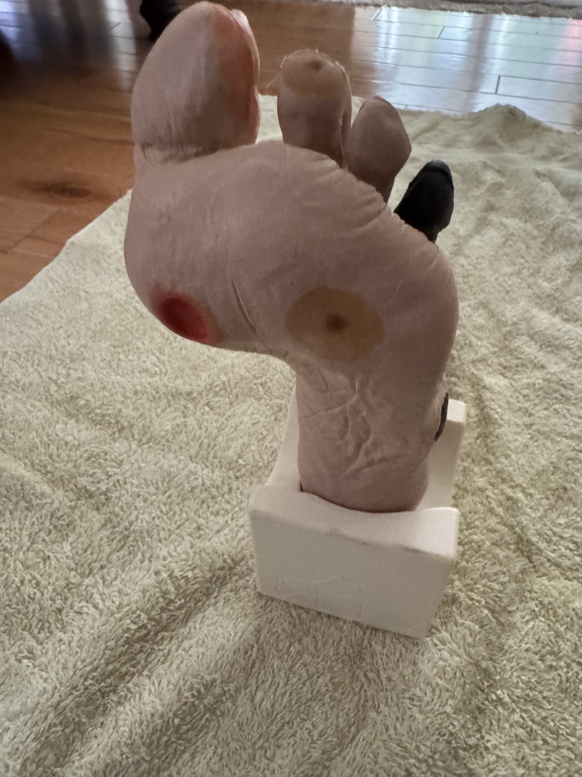 VATA Wilma Wound Foot Teaching Model