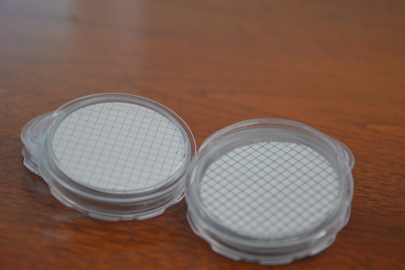 [Set of 20] Petri Dish 50x9mm Disposable Clear Bacterial Plate w/ Tight Light