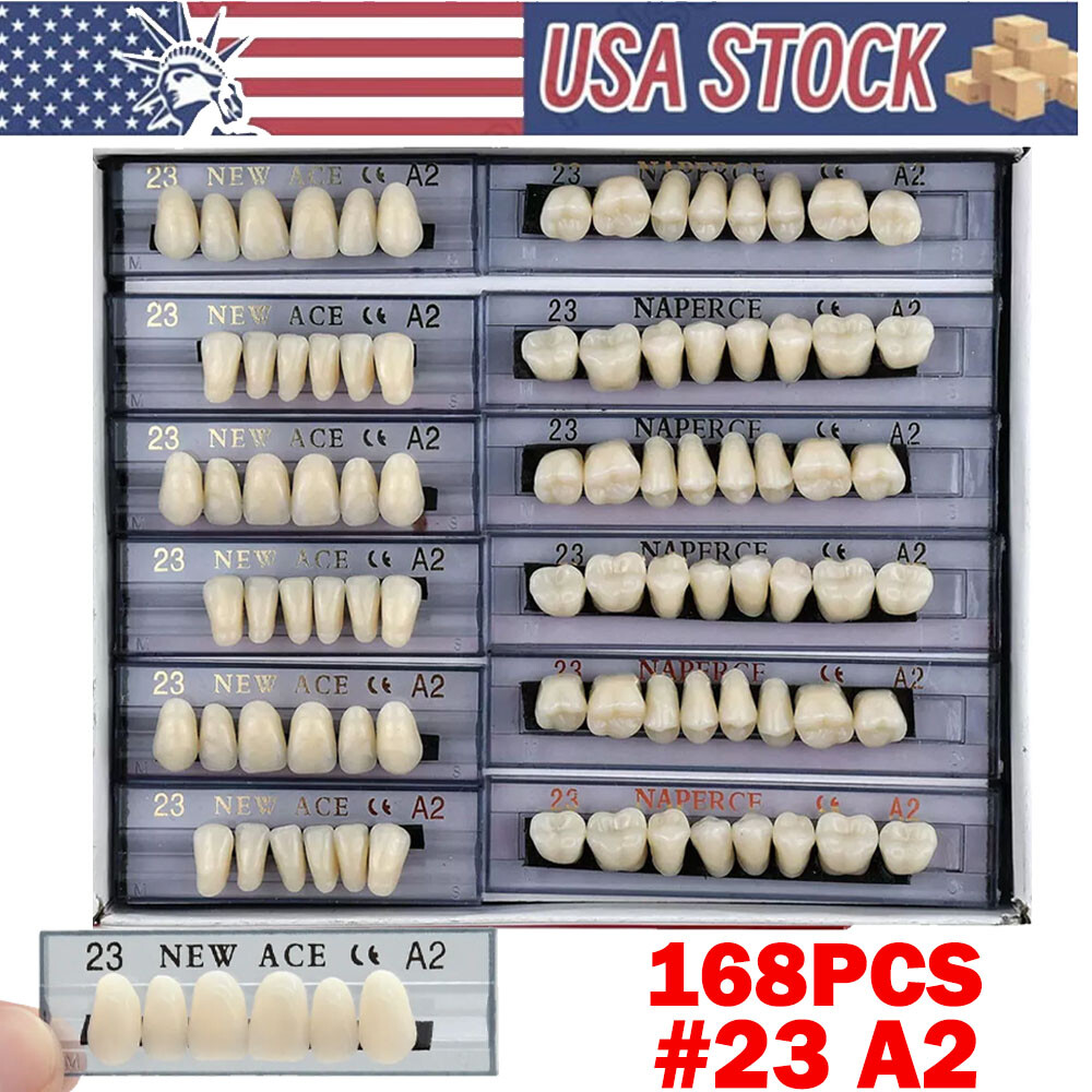 168Pcs Acrylic Resin Denture #23 Dental Upper Lower Shade A2 Teeth Set US