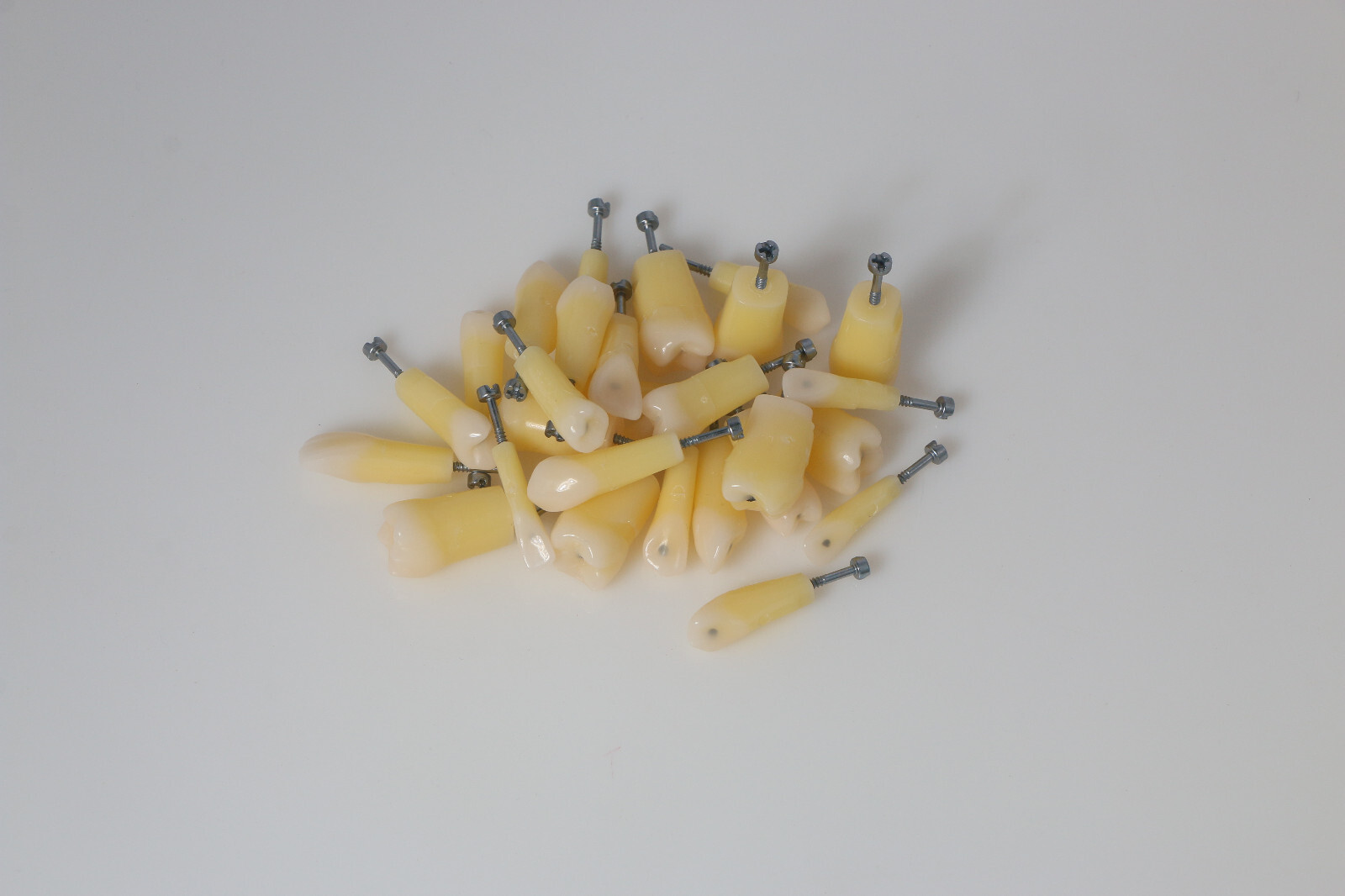 Dental Typodont Teeth Model with Caries Spots 28 Pieces Fits Kilgore Nissin 200