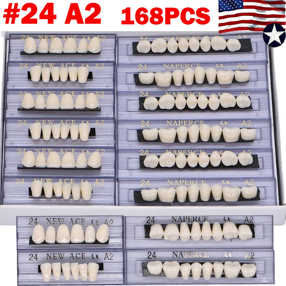 168Pcs Acrylic Resin Denture #24 Dental Upper Lower Shade A2 Teeth Set US
