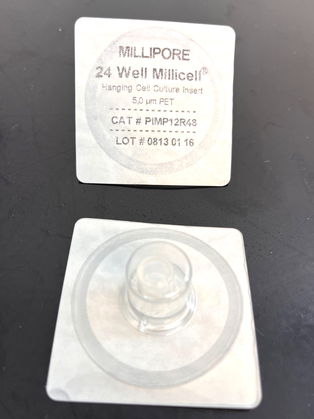 Box of 27 Millipore 24-well MilliCell Hanging Cell Culture Insert 5.0um PET NOS