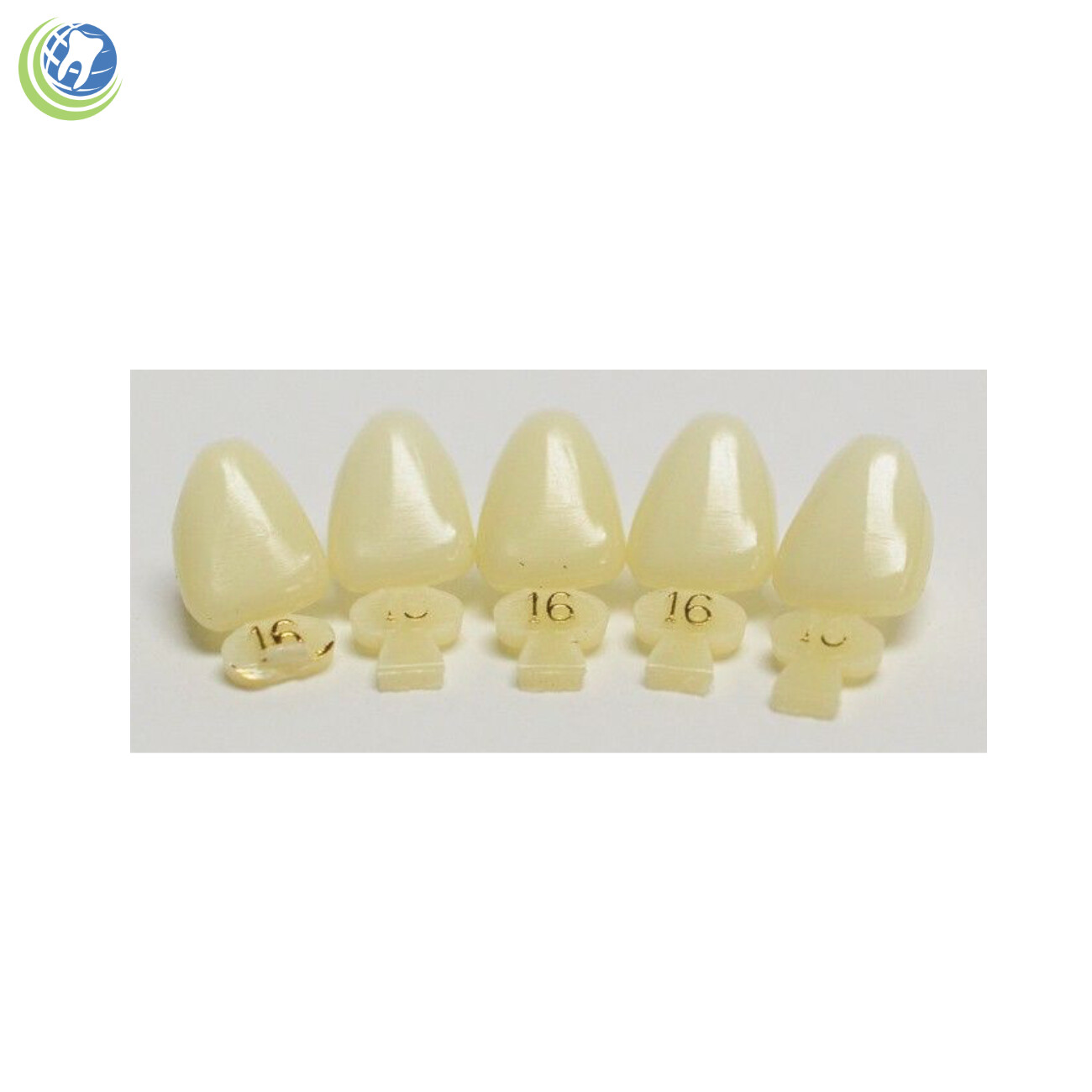 Tooth #9 Upper Left Central Anterior (ULC) Polycarbonate Temporary Crown Refills