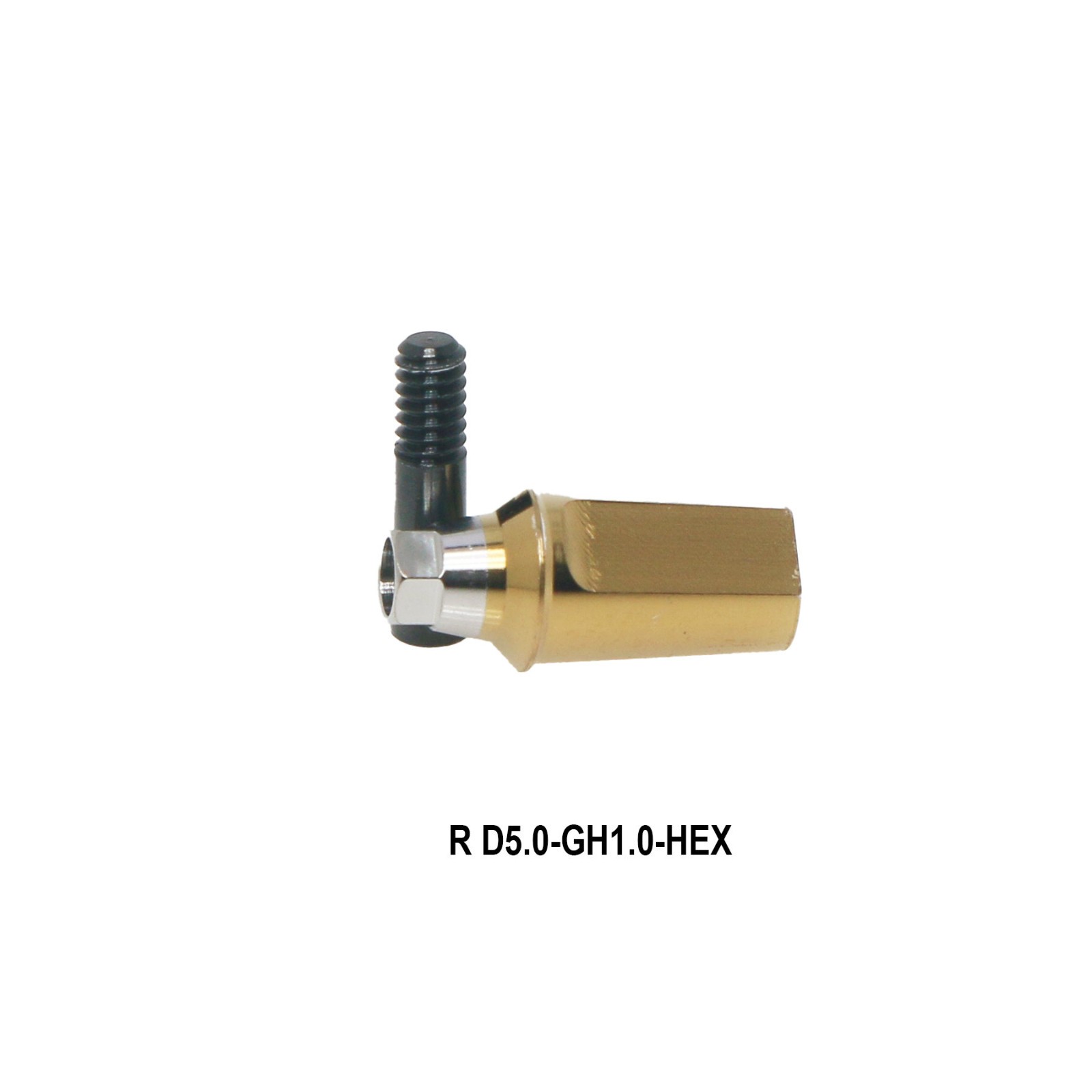 US Titanium Straight Abutment Hex For Hiossen ET Osstem TS Mini Regular Platform