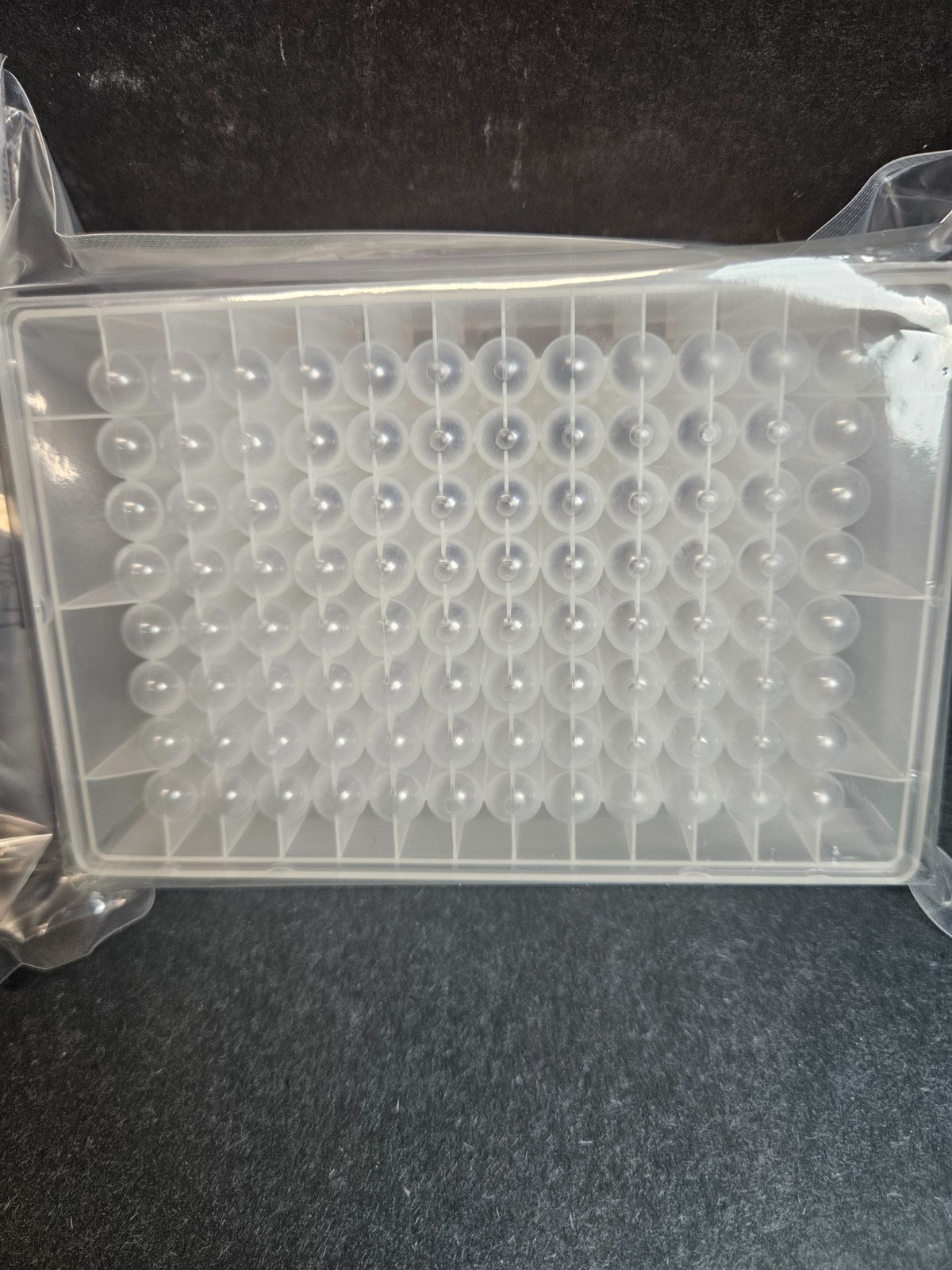 Thermo Scientific Microplate 96 Well 2 ml Deep Well Polypropylene 20 Plates