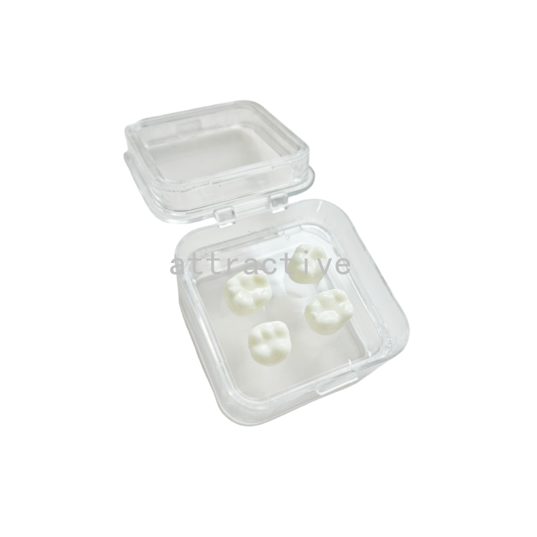 Denture Case Retainer Acrylic Jewelry Storage Box Hinged Display Dental Membrane