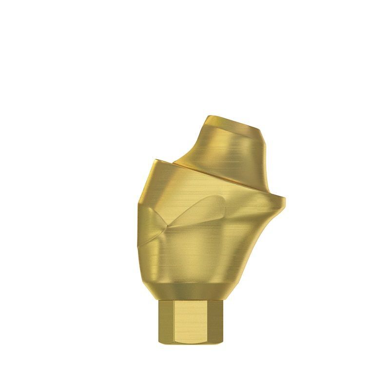 10x Dental DSI Angulated Abutment 17° Multi-Unit Premium 1.6m Internal Hex 2.42