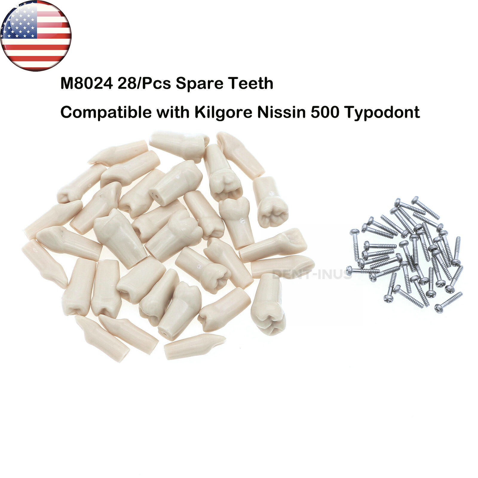 US Dental Replacement Typodont Teeth Set of 28 Teeth for Kilgore Nissin 200