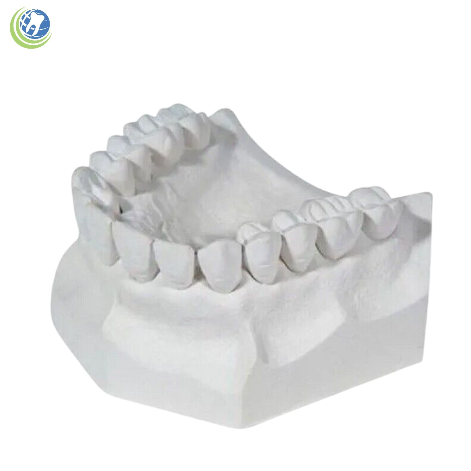 DENTAL LAB PLASTER CREAMY WHITE TYPE II REGULAR SET 1 Lb. (454 G)