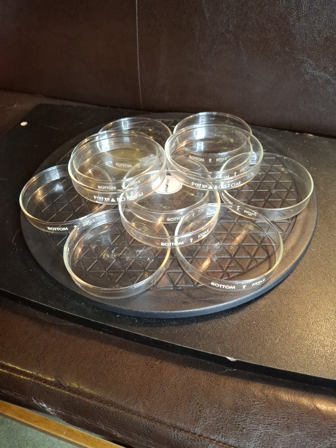 Kimax / Pyrex Petri Dishes 100mm x 15mm Set – 12 Covers and 12 Bottoms