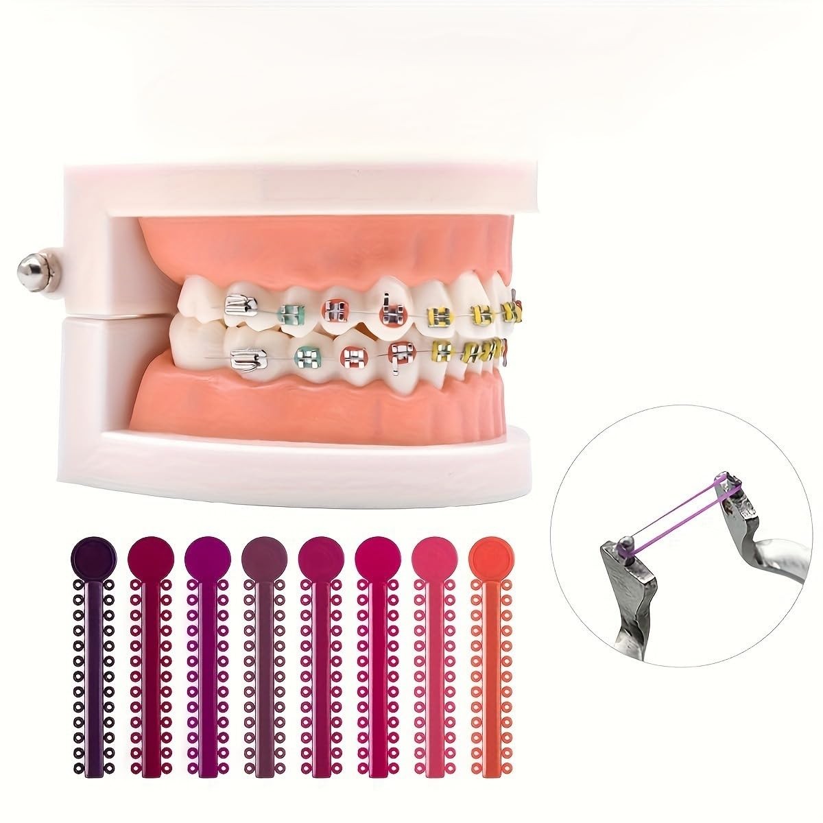 Orthodontic Elastic Bands for Braces 1040pcs Dental Ligature Multi-color