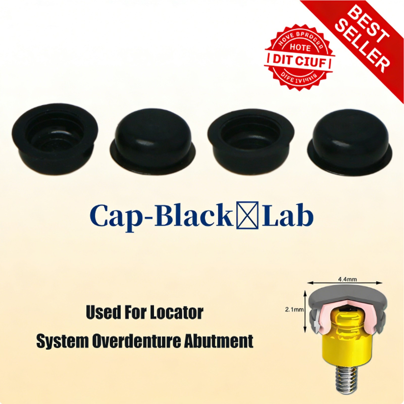 Dental Overdenture Zest Locator Abutment Legacy Anchor Hiossen Nobel Zimmer Cap