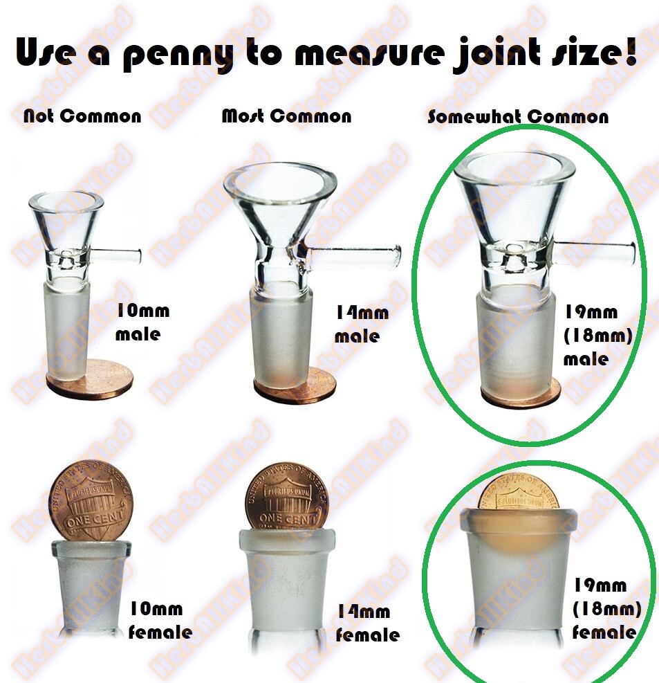18mm MALE to 18mm FEMALE (19mm to 19mm) Swiss Fission Holey Glass Downstem 2-7.5