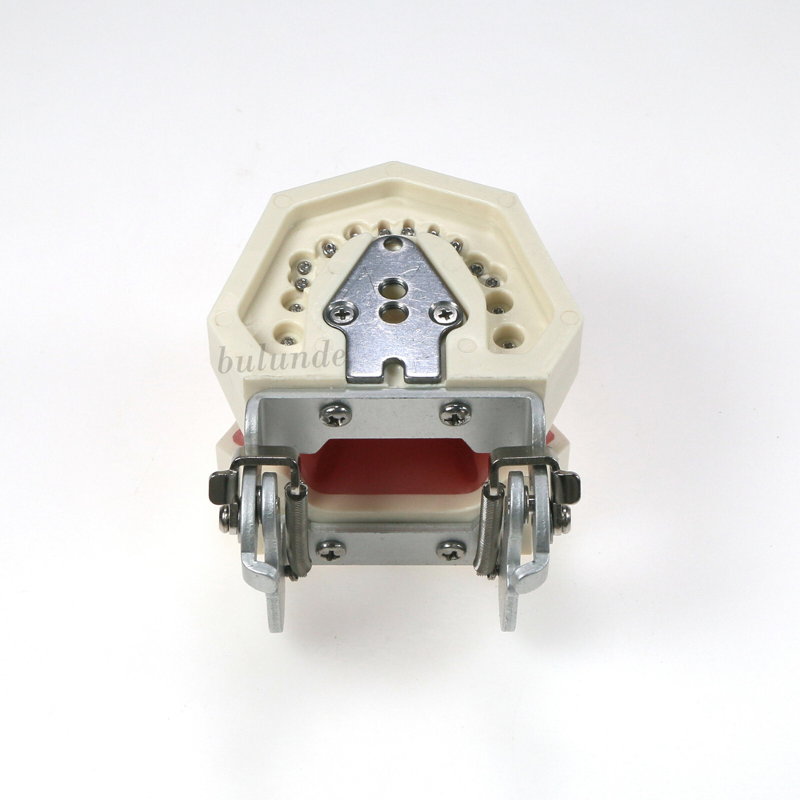 Dental Typodont Teeth Model fit Kilgore NISSIN 200/500 Type With Removable Teeth