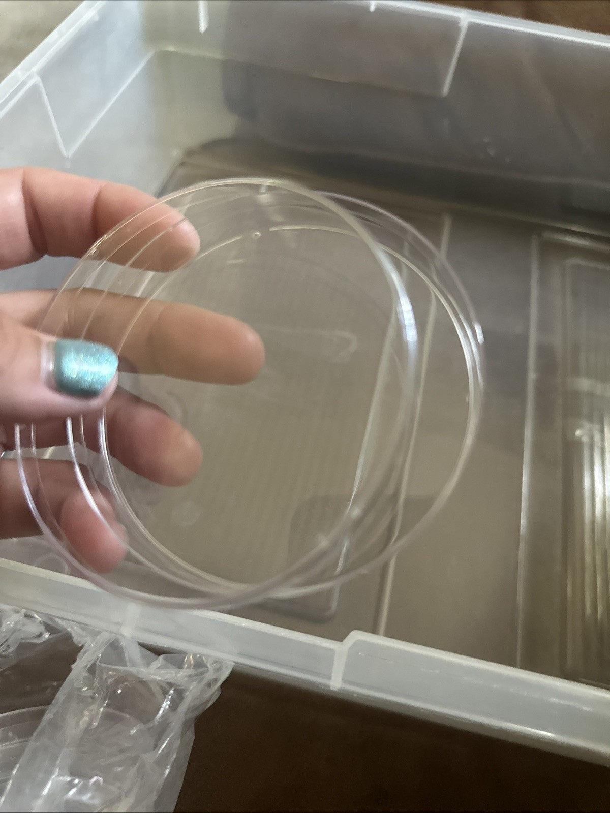 United Scientific 10 Pack Sterile Thick Plastic Petri Dishes 90x15mm, Clear