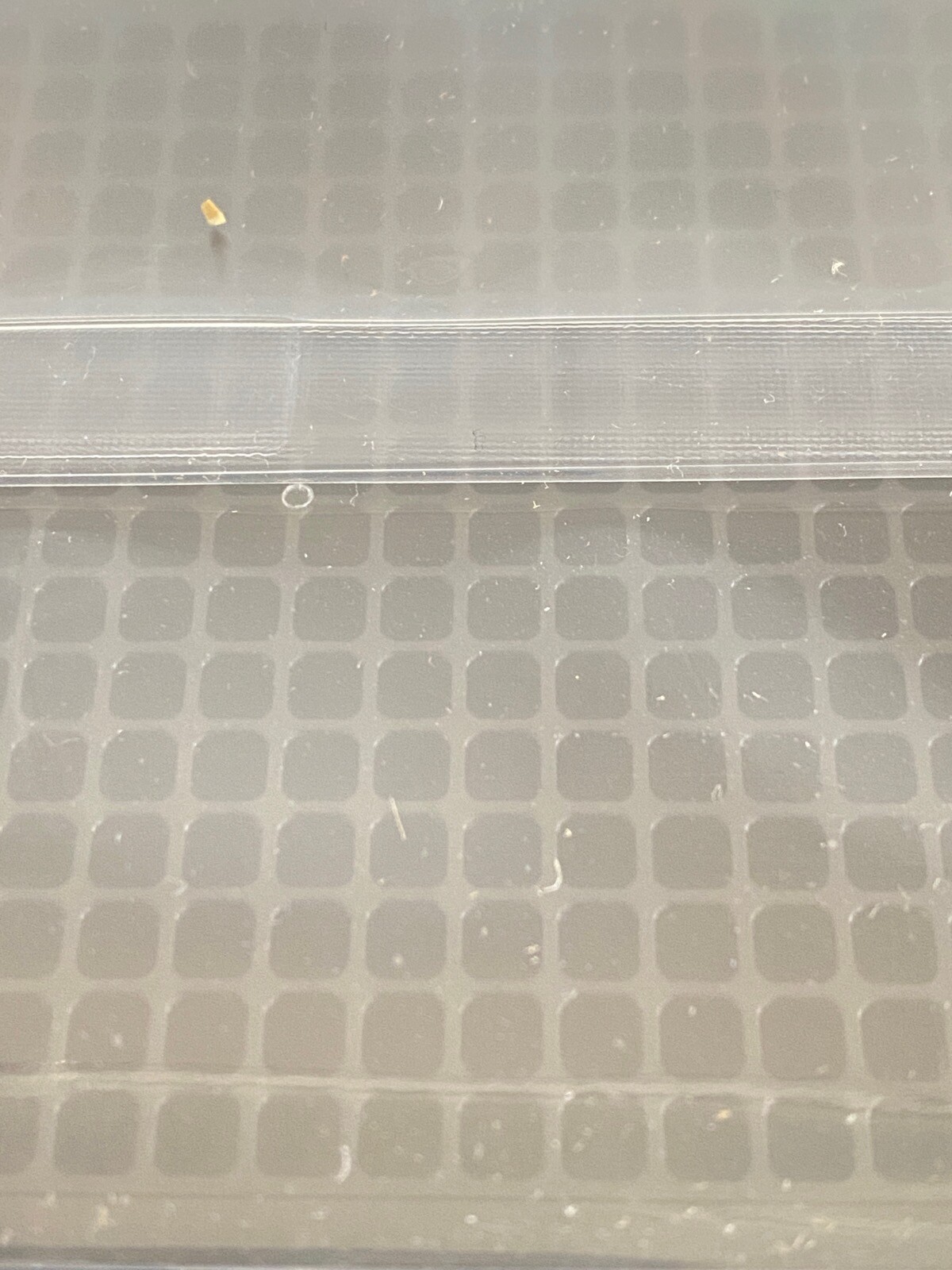 (11) CORNING 384-Well Black PS Assay TC Treated Microplate Clear Bottom Lid 3764