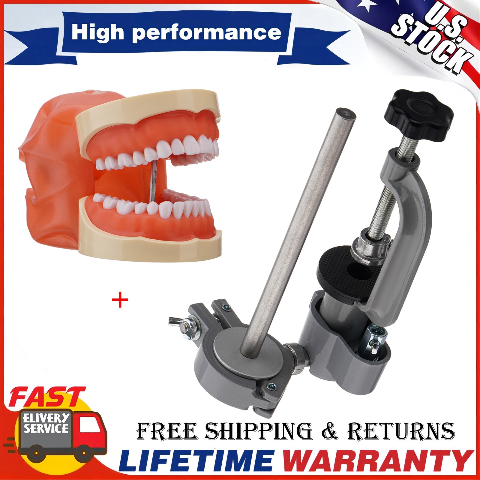 Kilgore Nissin 200 Type Dental Typodont Model+32pc Removable Teeth Mounting Pole