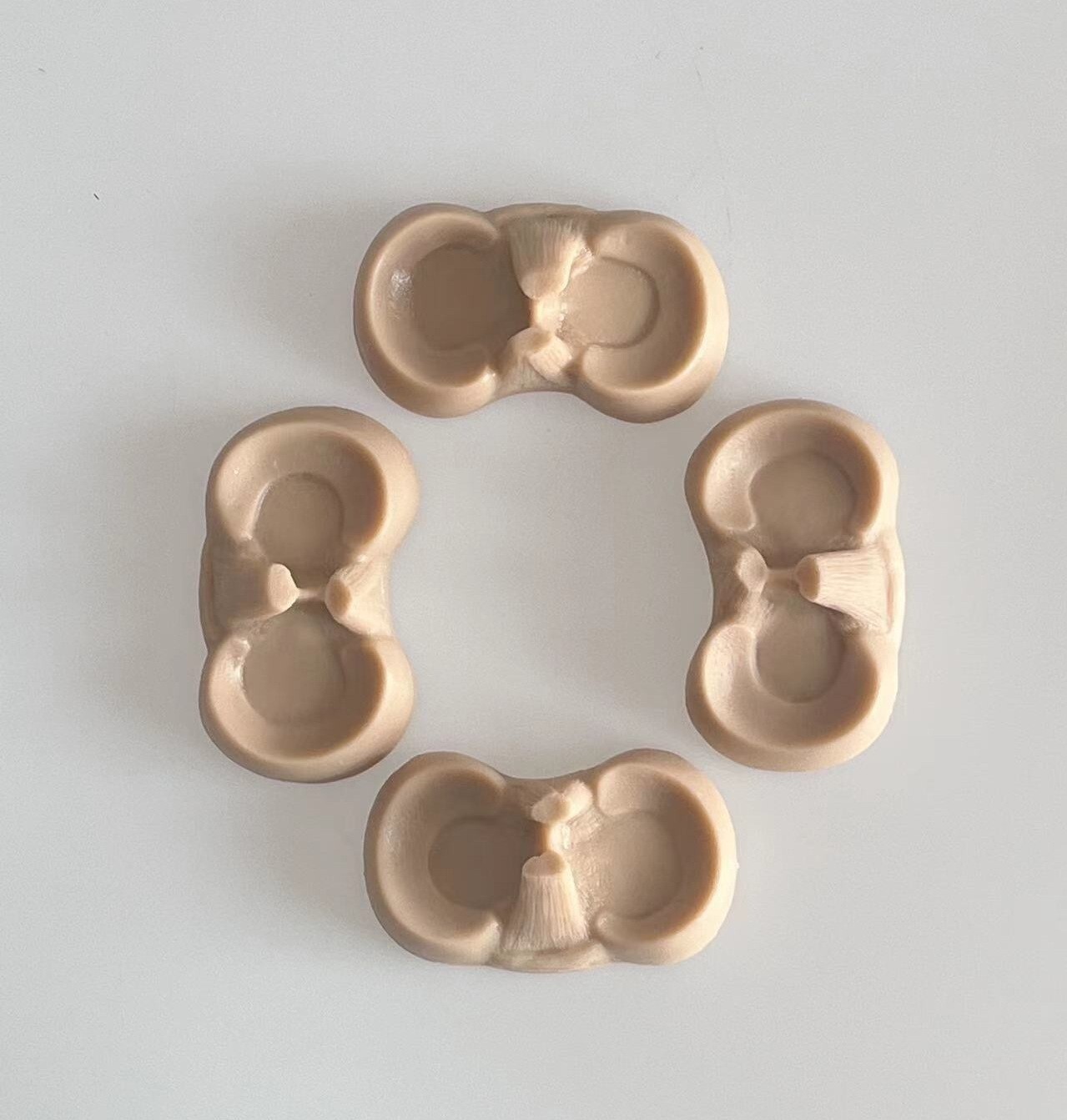 1Piece Human Meniscus Practice For Orthopedic Surgeons Model