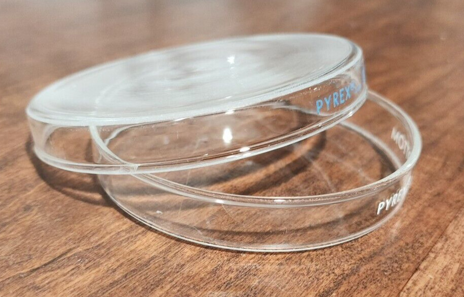 PYREX Glass Petri Dish 100mm x 10mm Cover & Bottom Reusable Pick Quantity USA