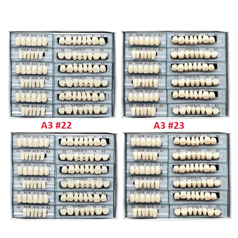 22# & 23# A3 Denture Acrylic Resin Teeth Dental Tooth Upper Lower Shade 168pcs*2