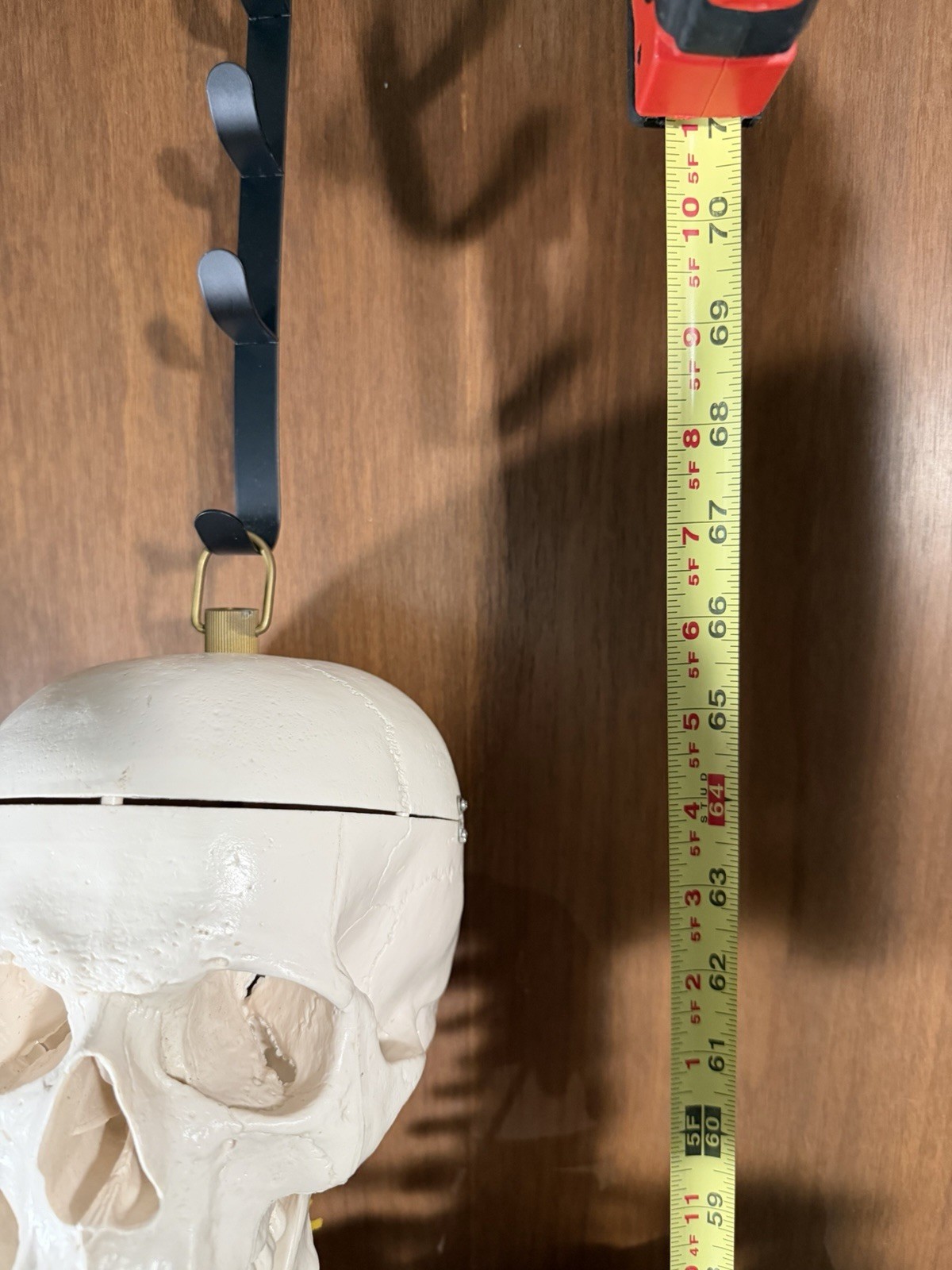 Life Size Human Anatomy Skeleton Hanging Medical Model w/ Spine Nerves