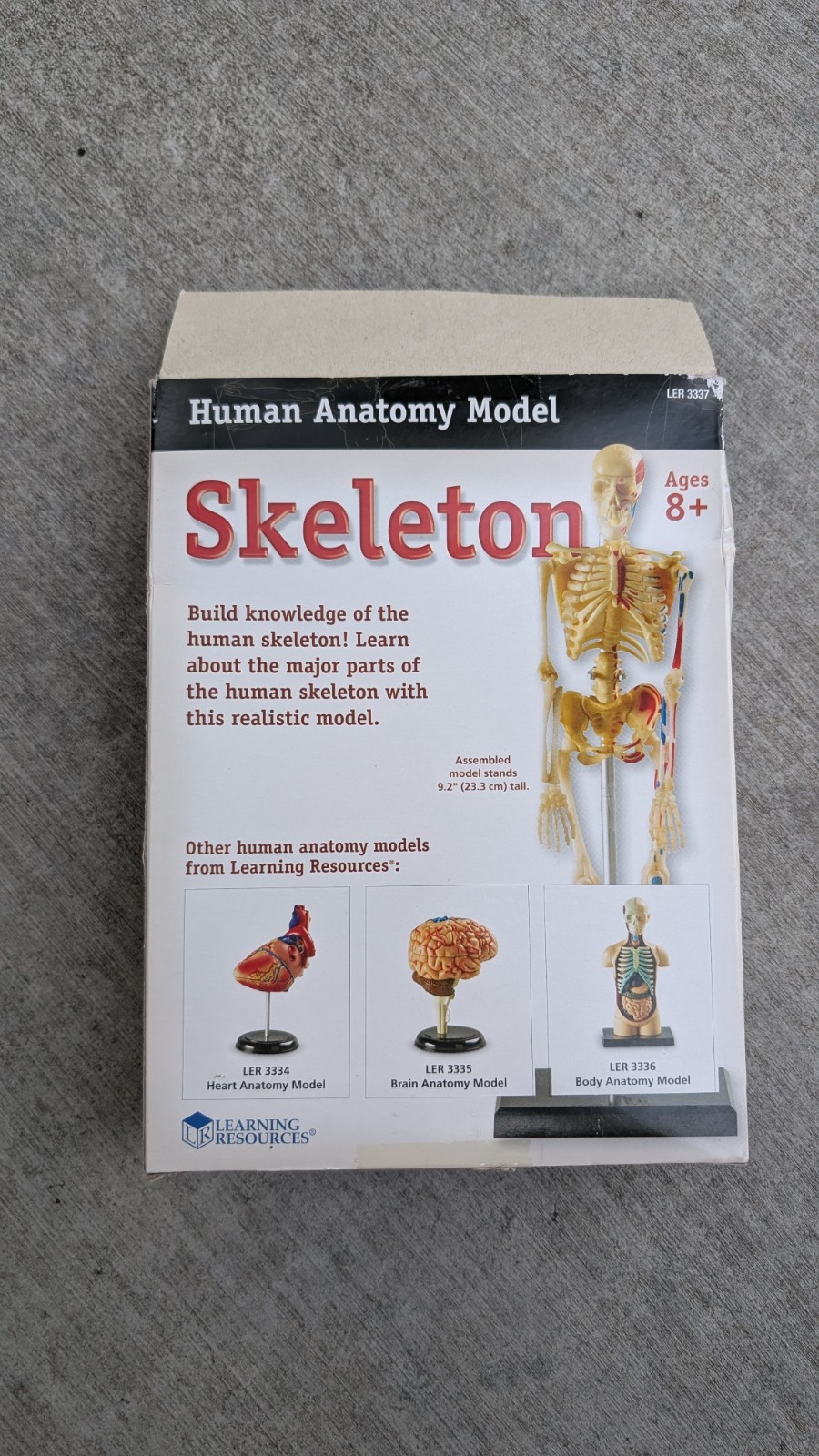 Learning Resources Human Anatomy Model Skeleton 41pc w/ Stand LER 3337 Lab