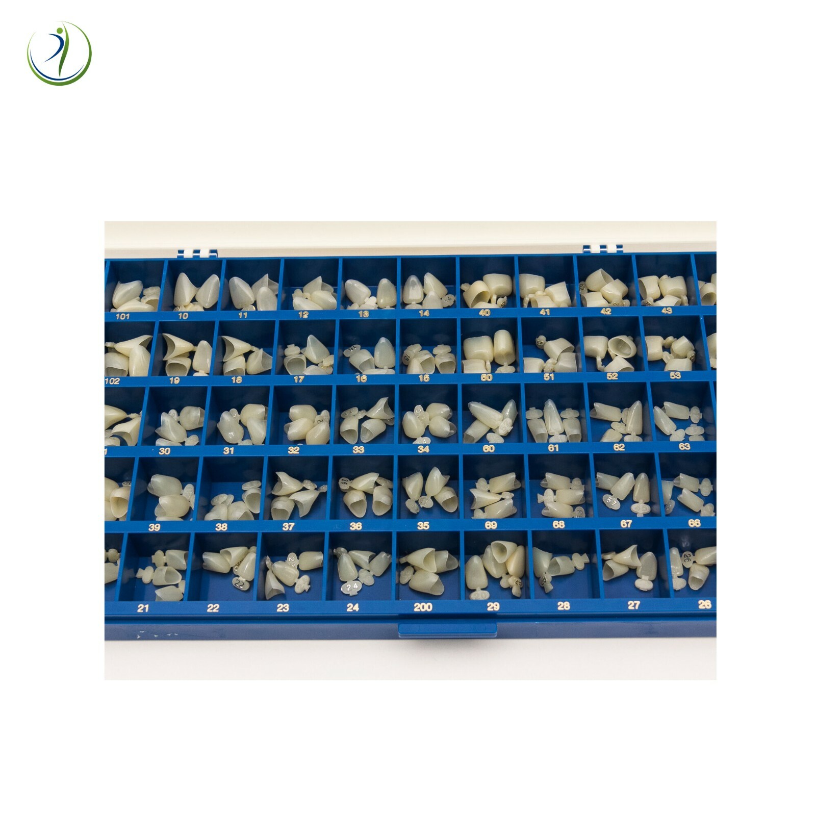 Dental Polycarbonate Temporary Crowns Kit Box of 180 Pcs Paper Guide Chart