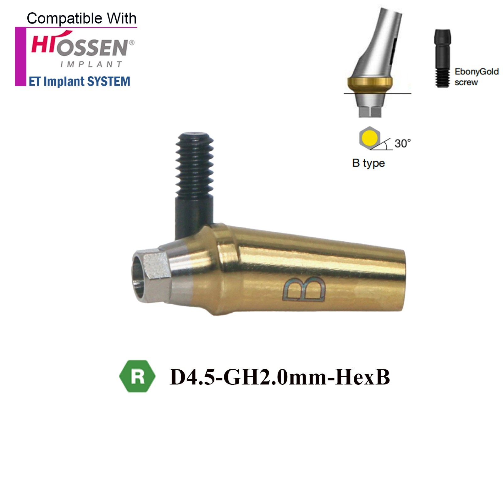 Angulated Anatomic abutment 30°Mini/Regular B Type for Hiossen Osstem TS Implant
