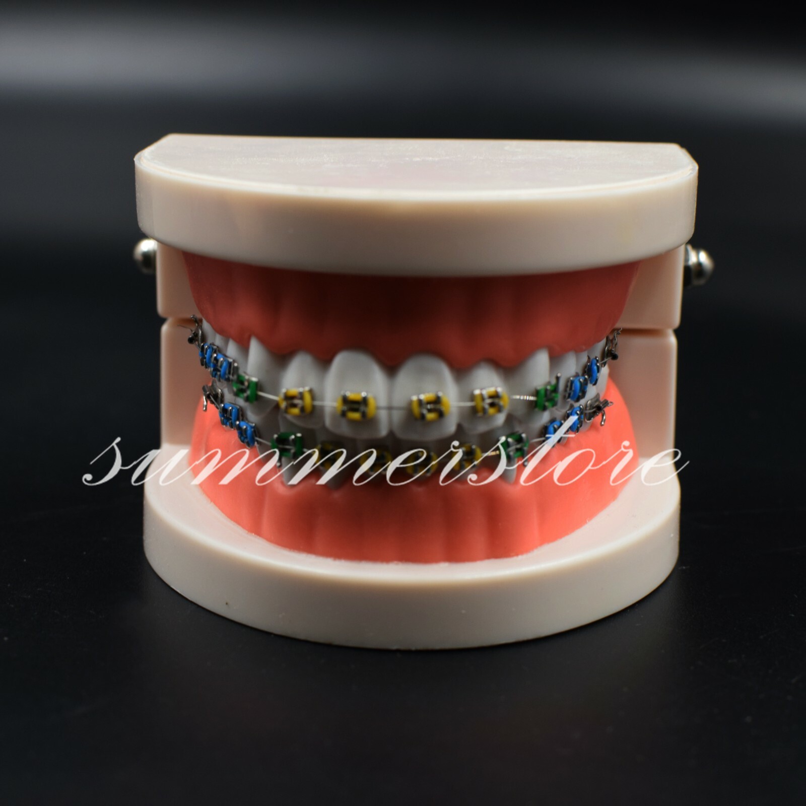 1x Dental Orthodontic Standard Teeth Model With Bracket&Buccal Tube&Ligature Tie