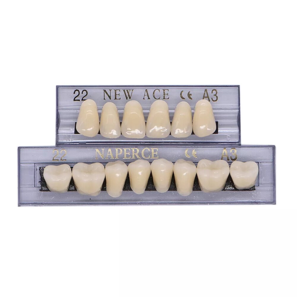 168X Acrylic Resin A1/A2/A3 Dental Denture Teeth Upper Lower Shade 22/23/24# USA