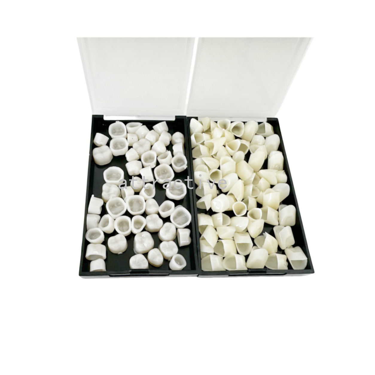 Temporary Dental Crowns 66Size Crown Mold Guides Premolar Molar Anterior Cuspid