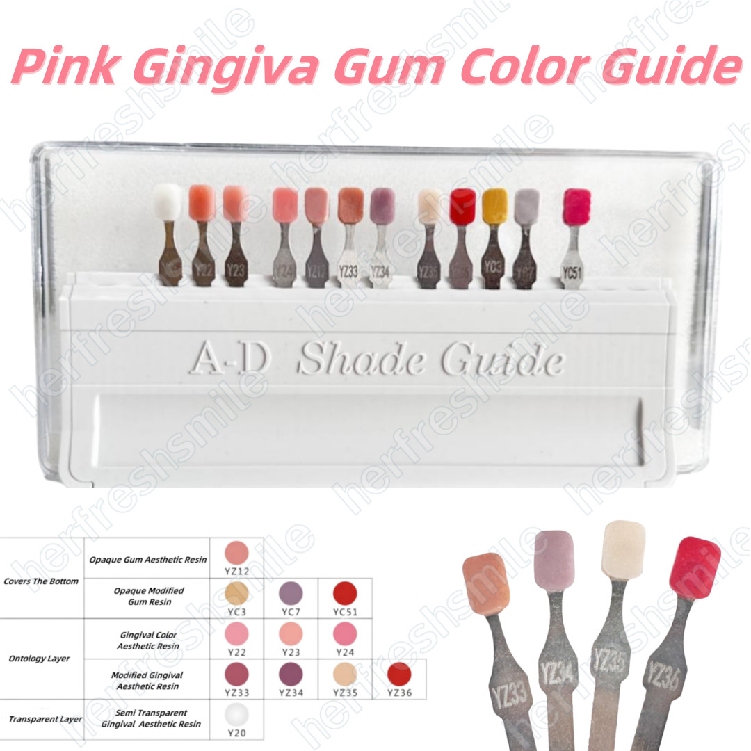 Gingiva Pink Resin Dental Beauty Gum Composite Highly 3D Aesthetic Color Guide