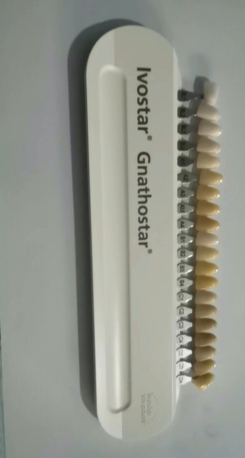 SG Ivostar/Gnathostar A-D 20 Shades Shade Guide