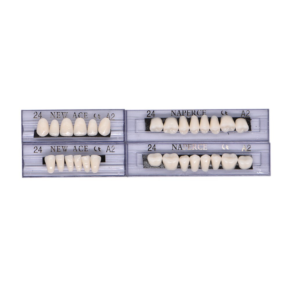 168Pcs/Box Acrylic Resin Denture #24 Dental Upper Lower Shade A2 Teeth Set USA