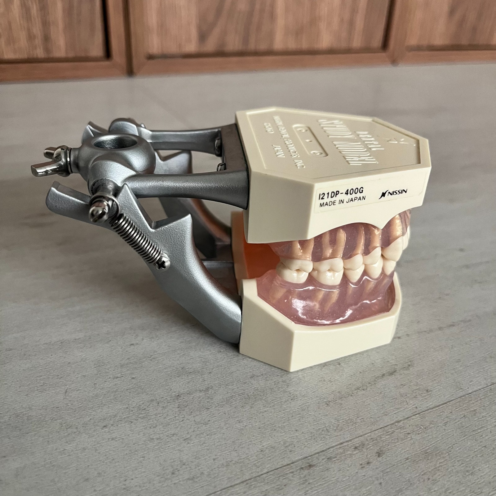 Dental Typodont Removable Teeth Model Nissin model i21DP-400G