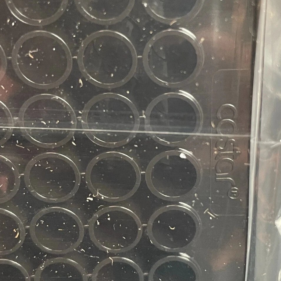 Corning Microplate 96 Well Black Sealed Polystyrene Total of 50 Plates