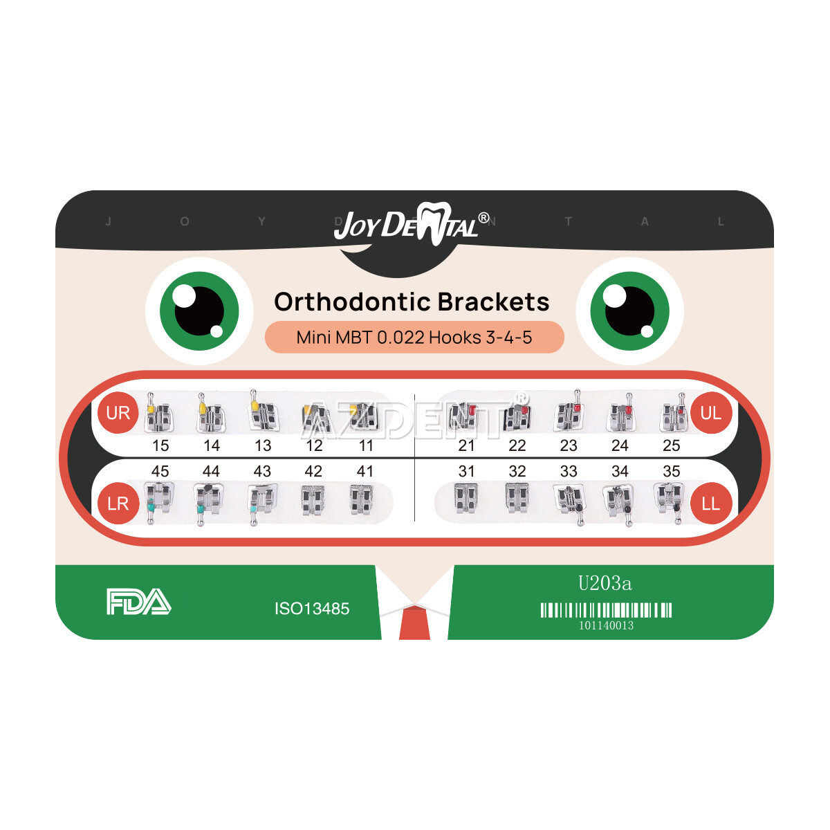 AZDENT Dental Orthodontic Brackets Braces/Super Elastic Niti Ovoid Arch Wires
