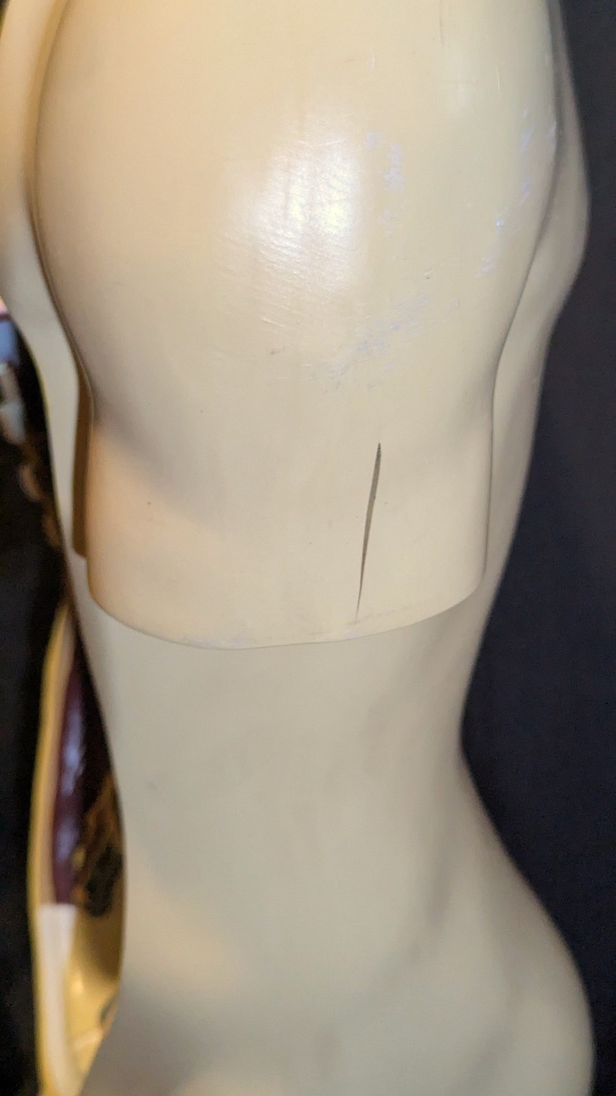 LRG Nystrom Biological Scientific Human Anatomy Model Torso 36″ Tapes Manual VTG