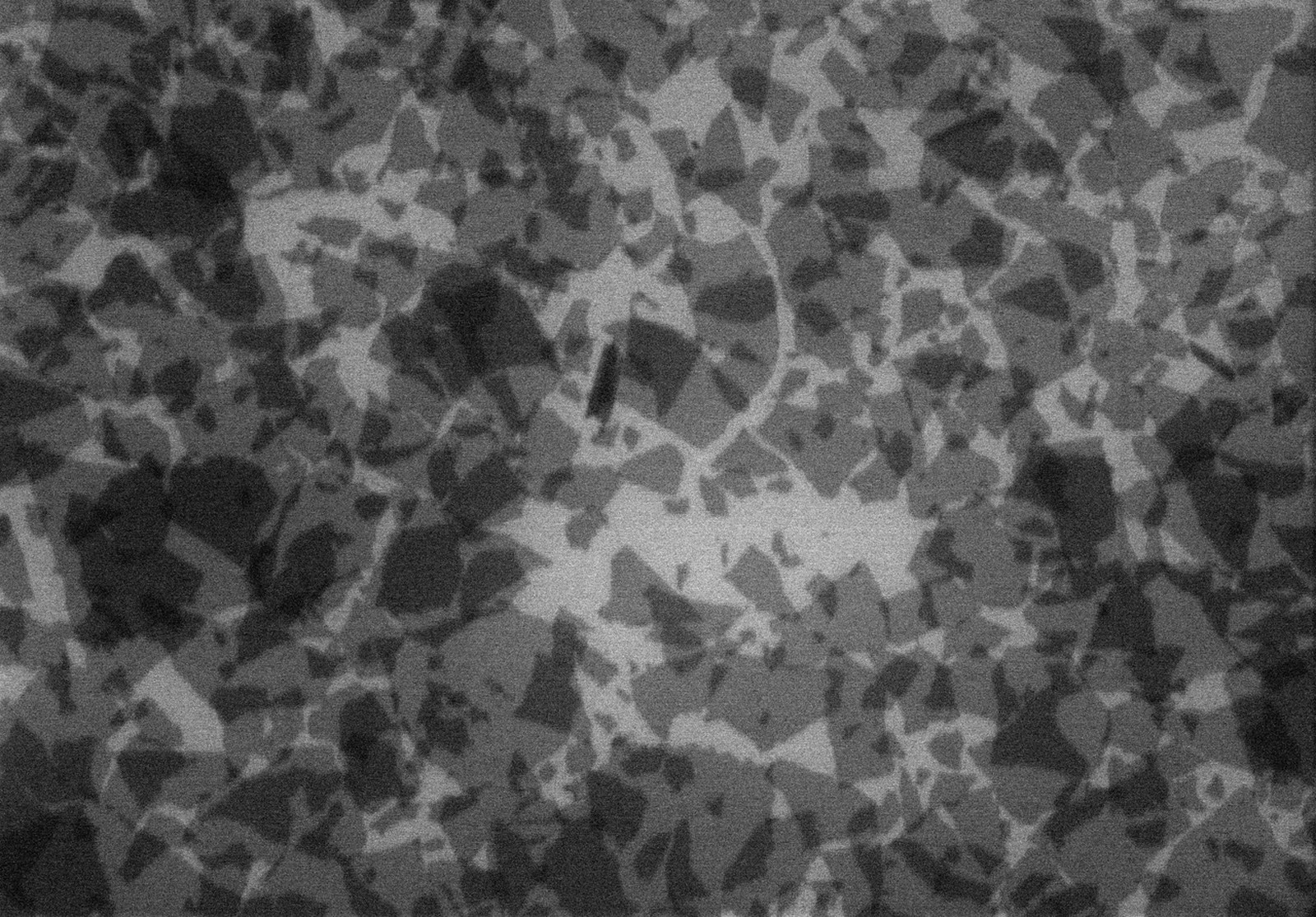 1Vial, 100 Milligram/Vial, Single-Layer Graphene Oxide, Solid