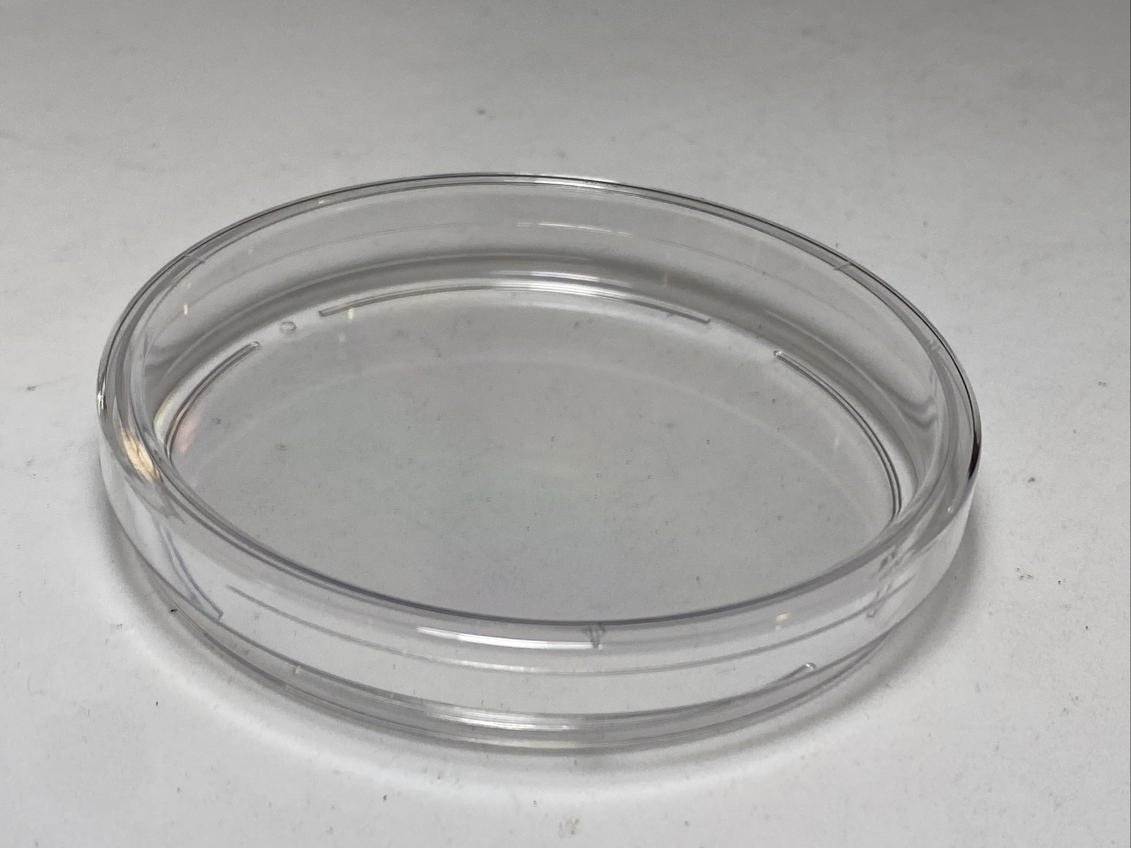 Qty 40 – Sterile Petri Dish 100 mm x 15 mm Lab Safety Supply 667694, Polystyrene