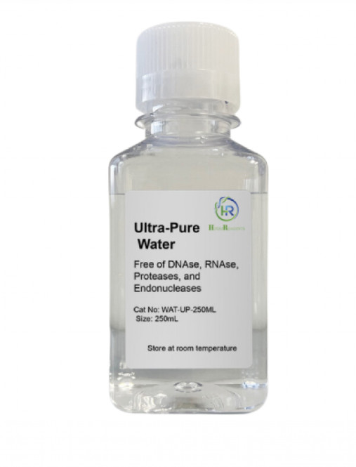 Ultra Pure Water, Nuclease Free Water Molecular Sterilization Total 250ml