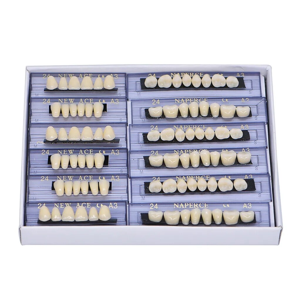 168pc Dental Acrylic Resin Denture 24# A3 Shade False Teeth Full Set Upper Lower