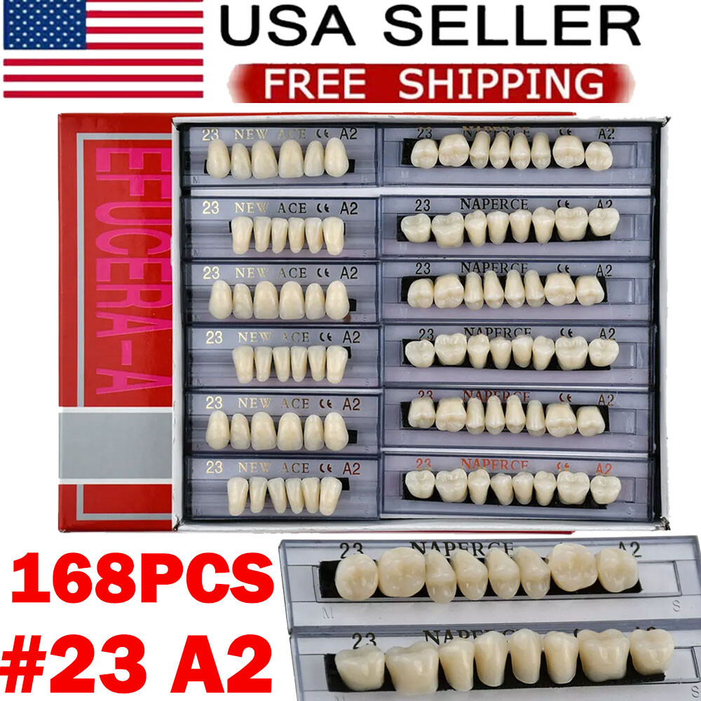 168Pcs/Box Acrylic Resin Denture #23 Dental Upper Lower Shade A2 Teeth Set USA
