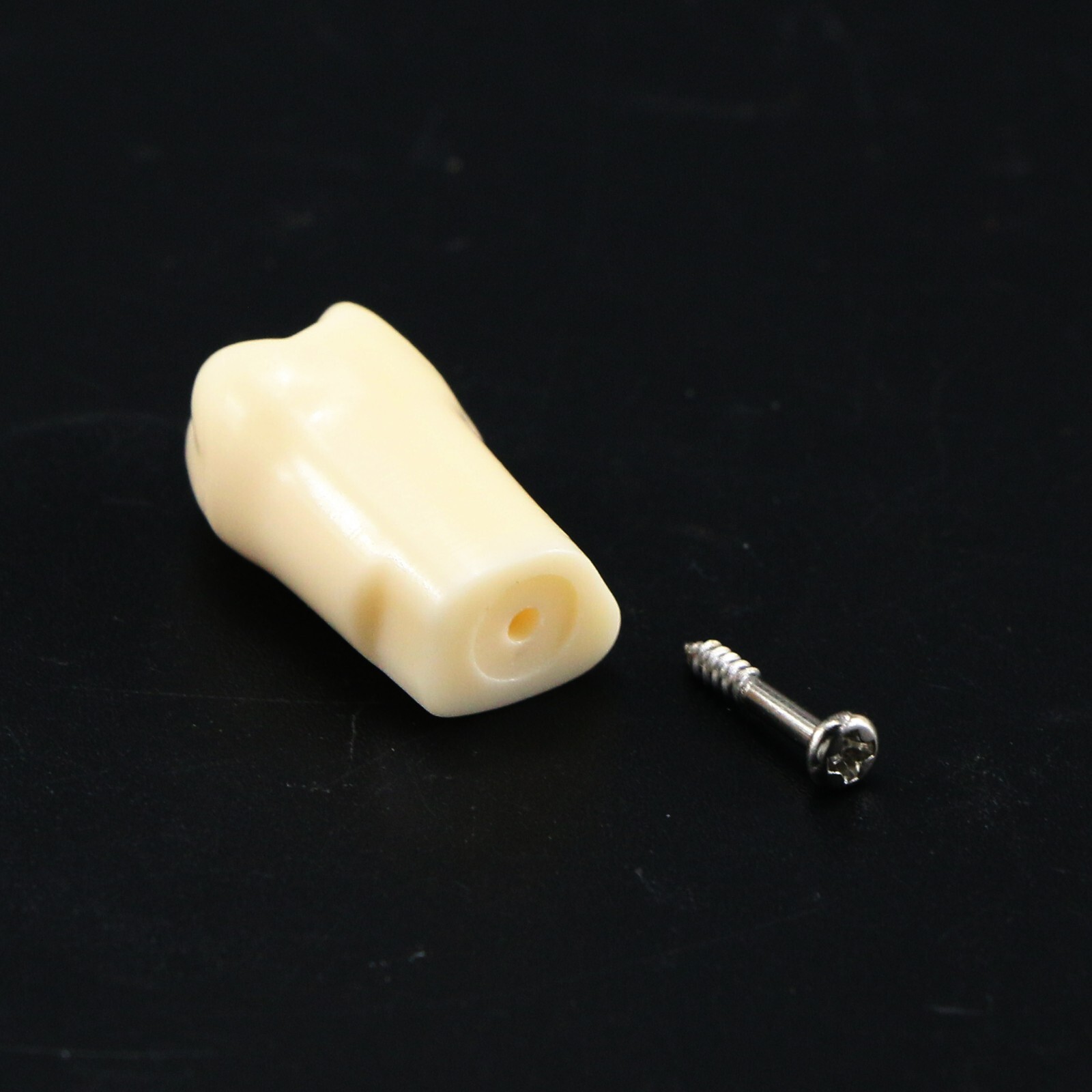 Dental Typodont Replacement Screw-in Teeth Model fits Kilgore NISSIN 200/500Type