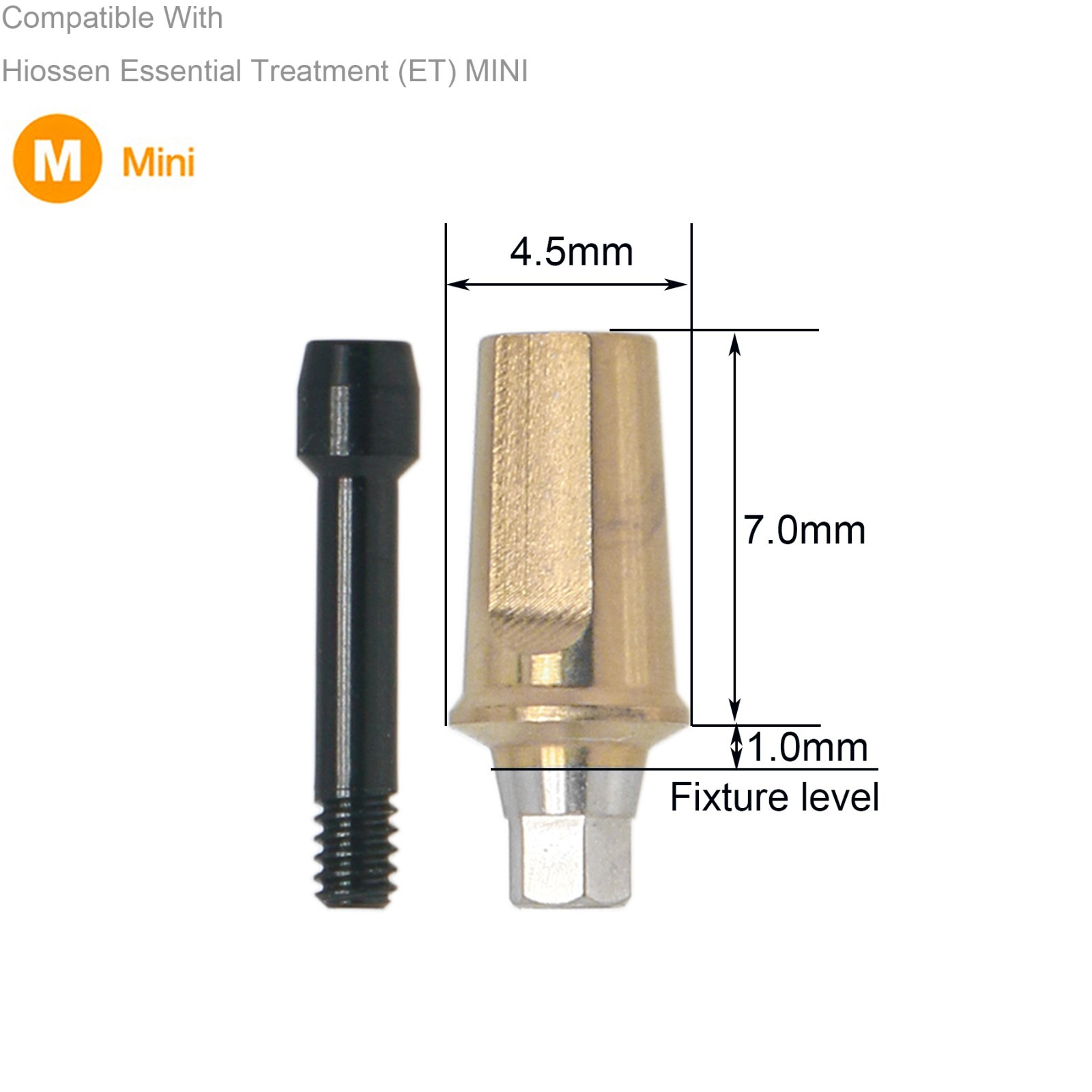 Dental Hex Straight Abutment with Screw Mini Regular Fit for Osstem Hiossen TS