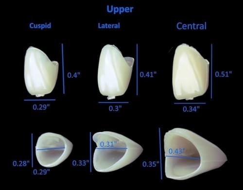 Mixed Sizes Dental Temporary Crown Kit Anteriors Box 50 Tooth Protection